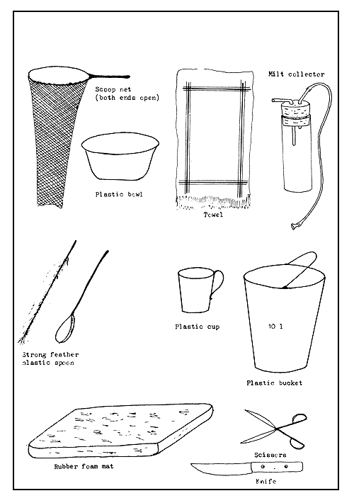 Figure 24