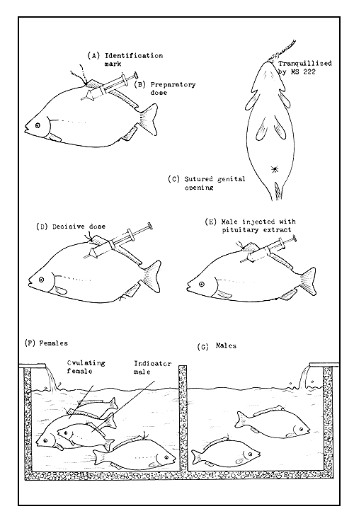 Figure 25a