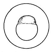 Figure 27
