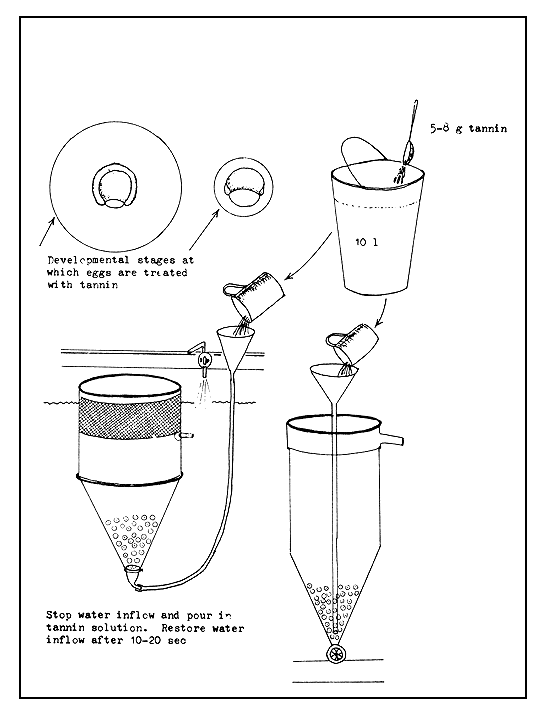 Figure 30