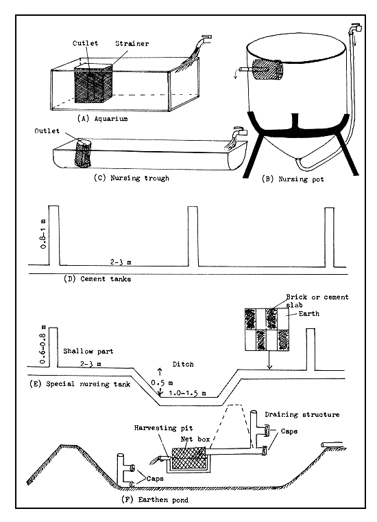Figure 49