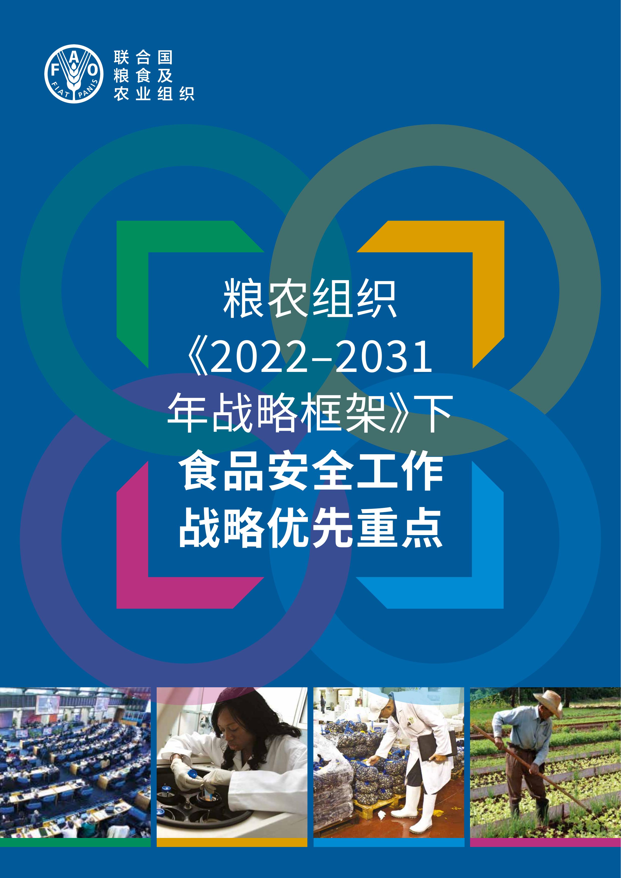 stratetic priorities image