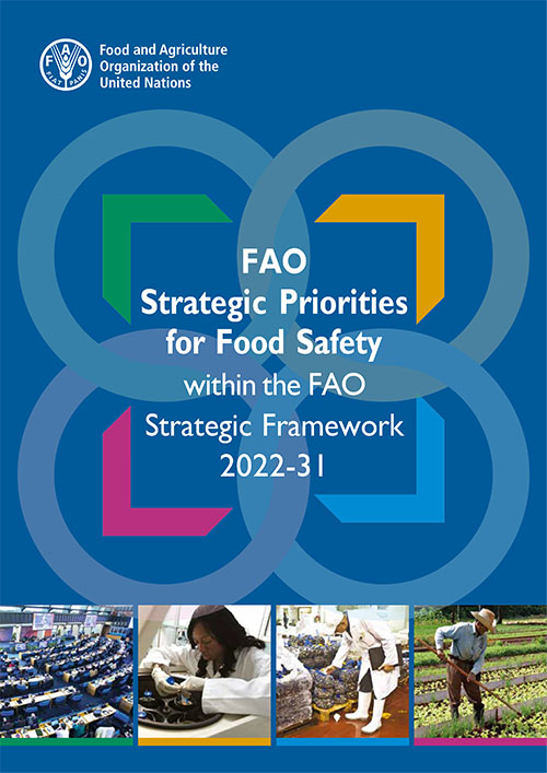 stratetic priorities image
