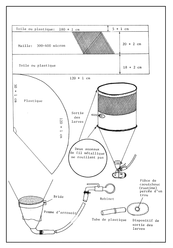 Figure 36