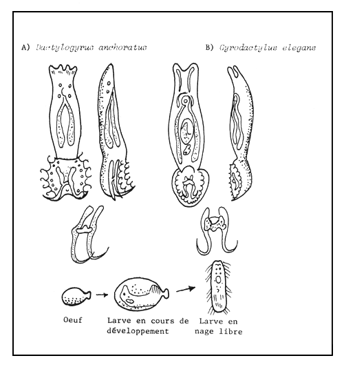 Figure 54