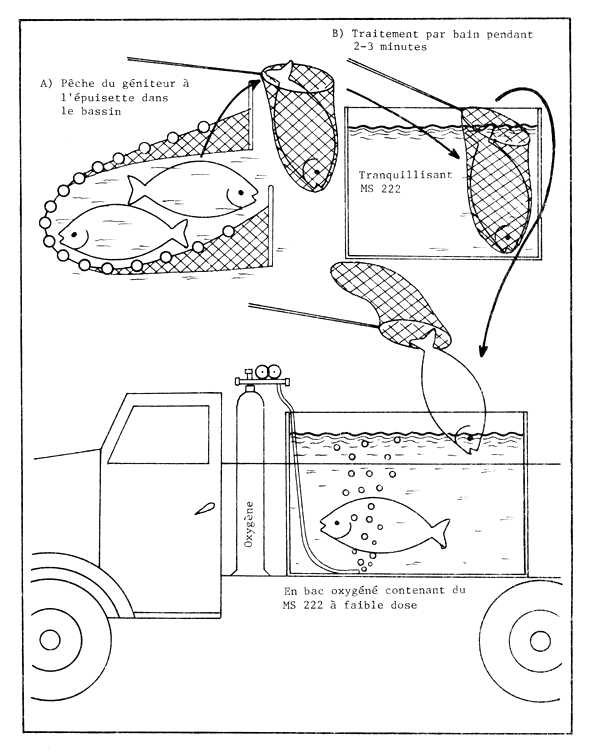 Figure 72a