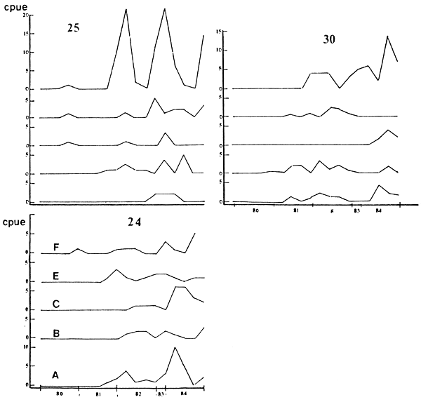 FIGURA 5