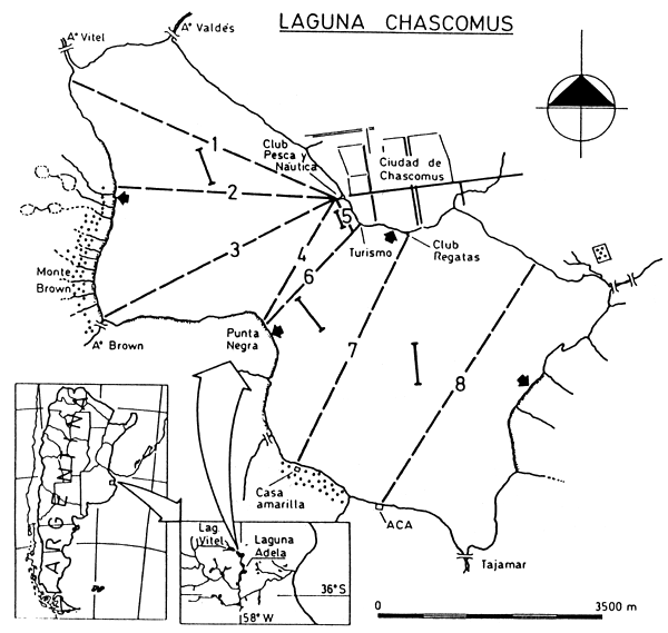 Fig.1