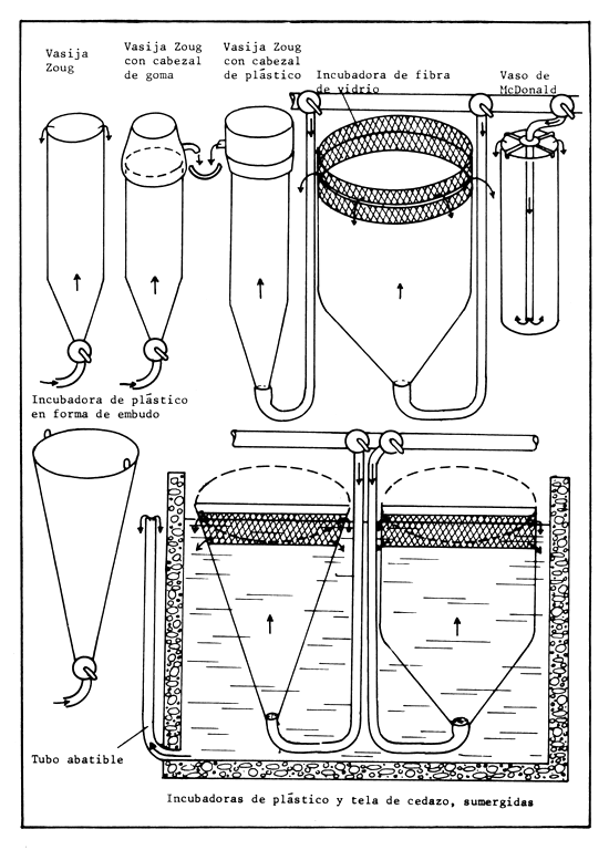 Figura 33