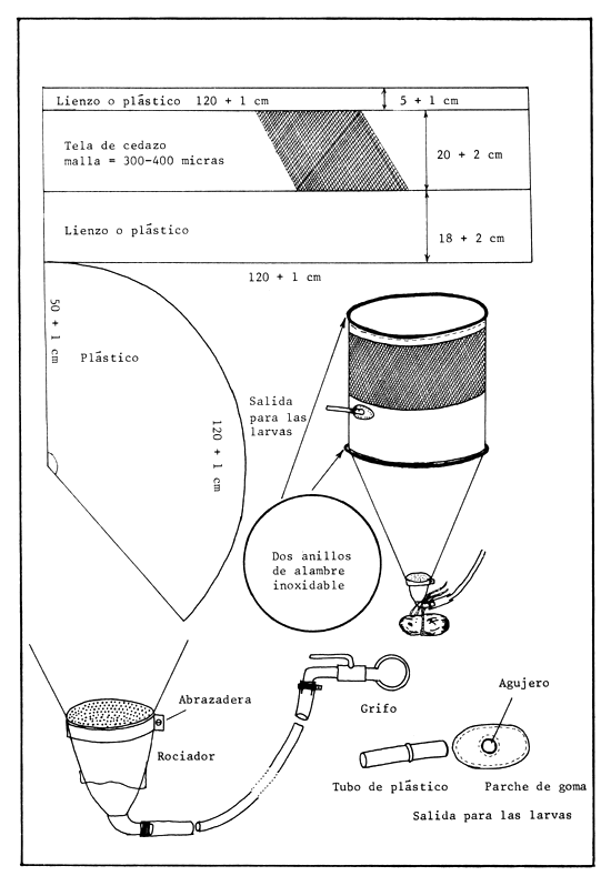 Figura 36